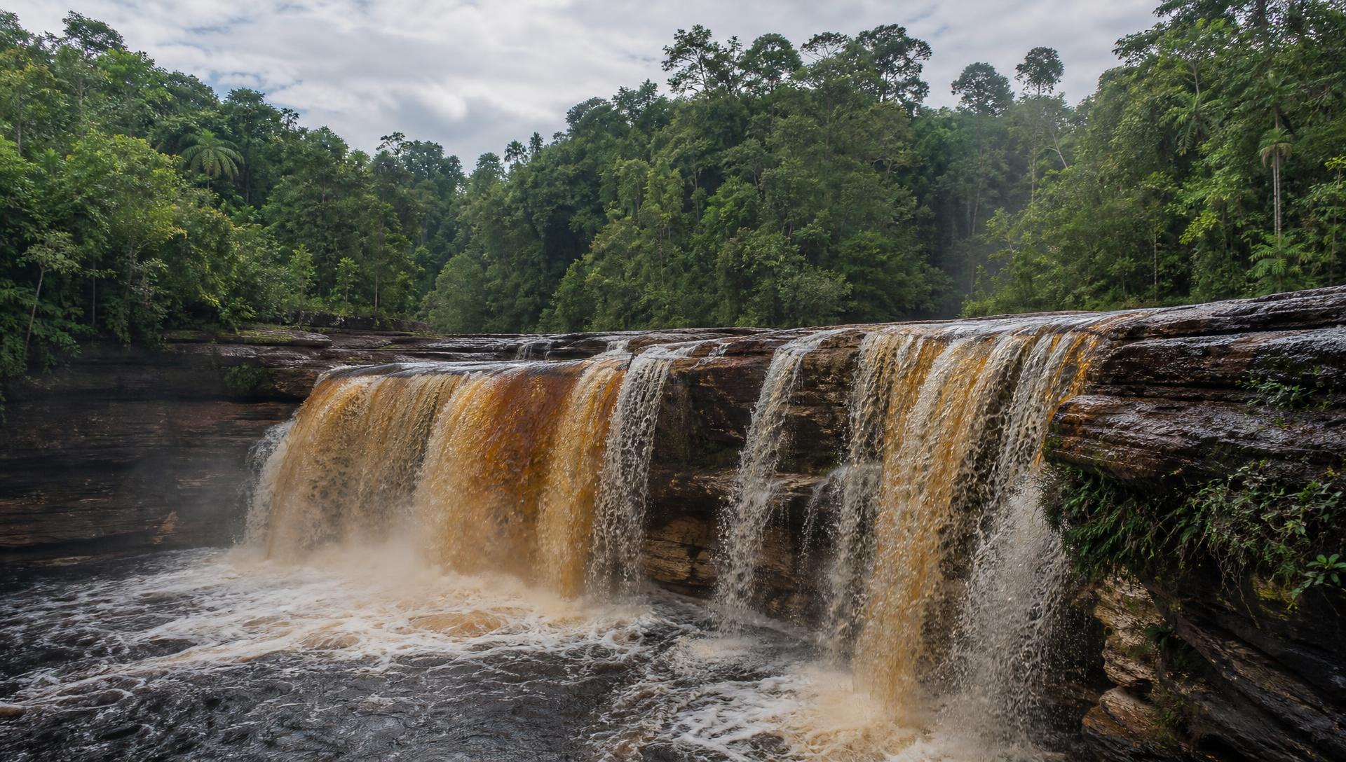 Cachoeira sobre patamar de arenito em floresta amazônica de terra firme